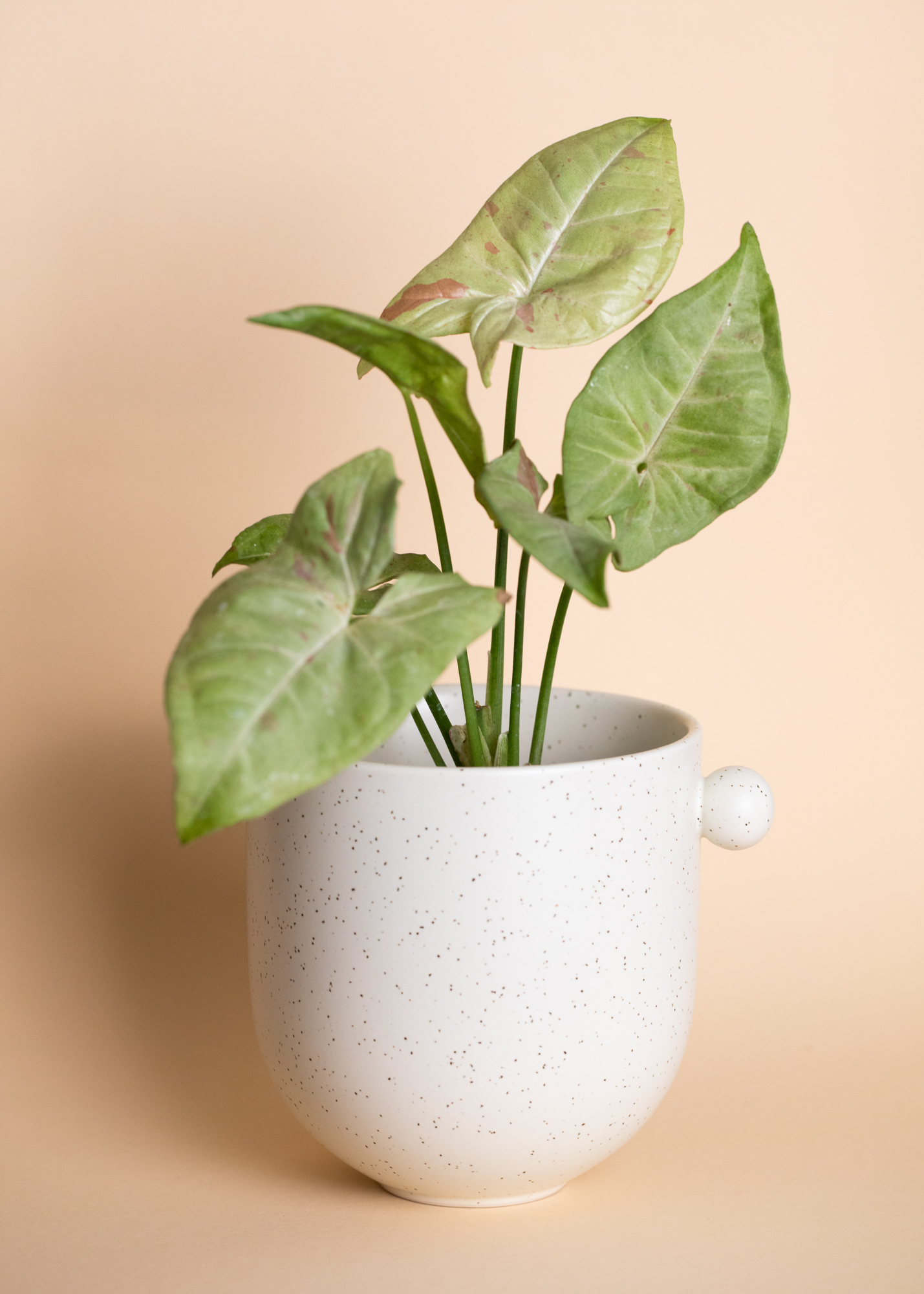 Saga pot, off white