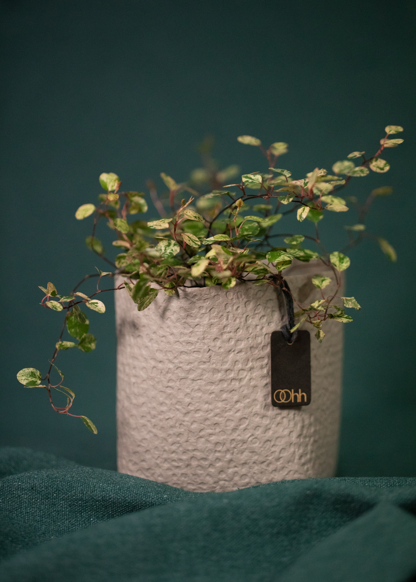 Madrid pot, light brown Madrid pot, light brown