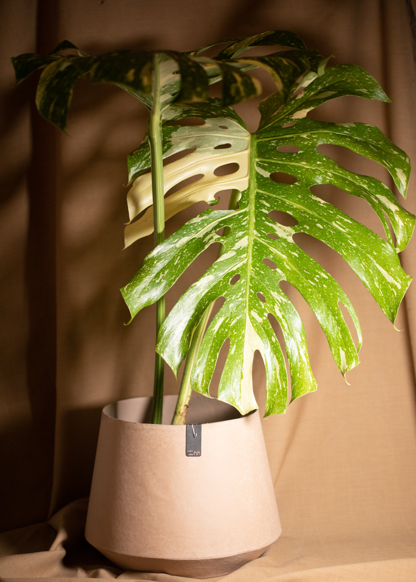 Tokyo Flower pot, light brown