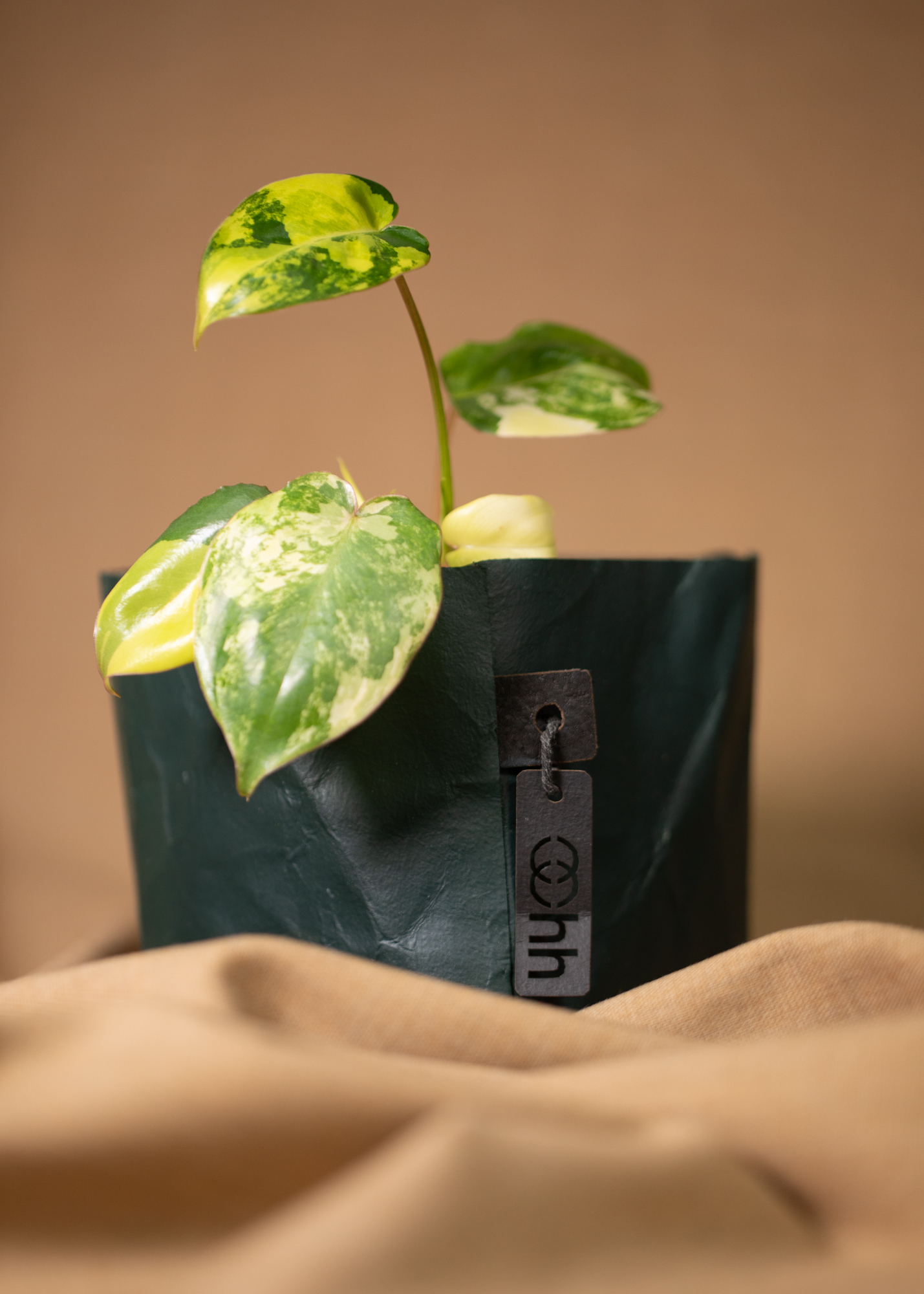 Florence Basket, dark green Florence Basket, dark green