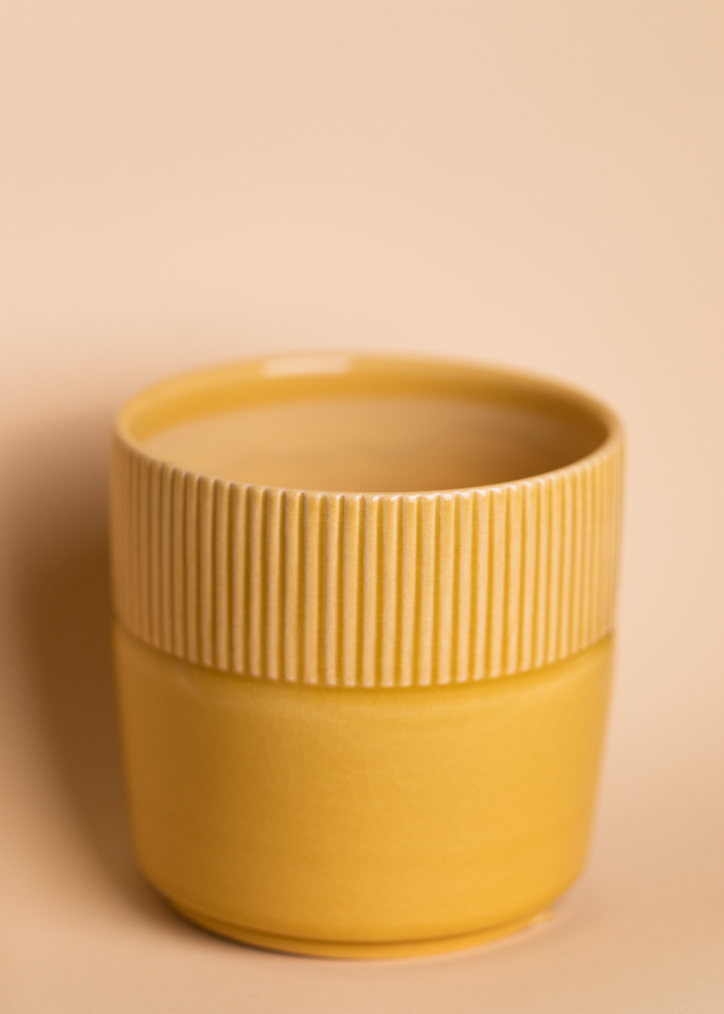 Mustard Bloom