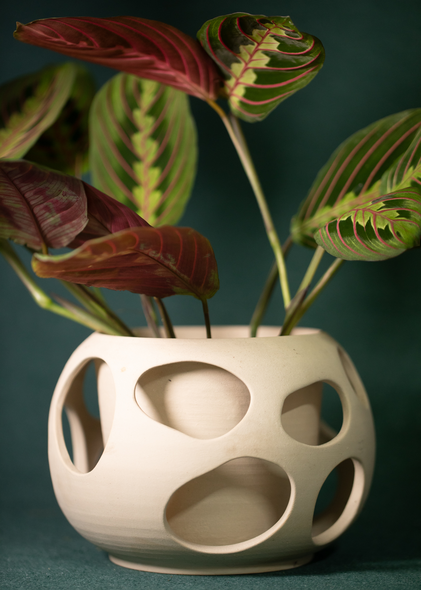 Cutouts planter Cutouts planter
