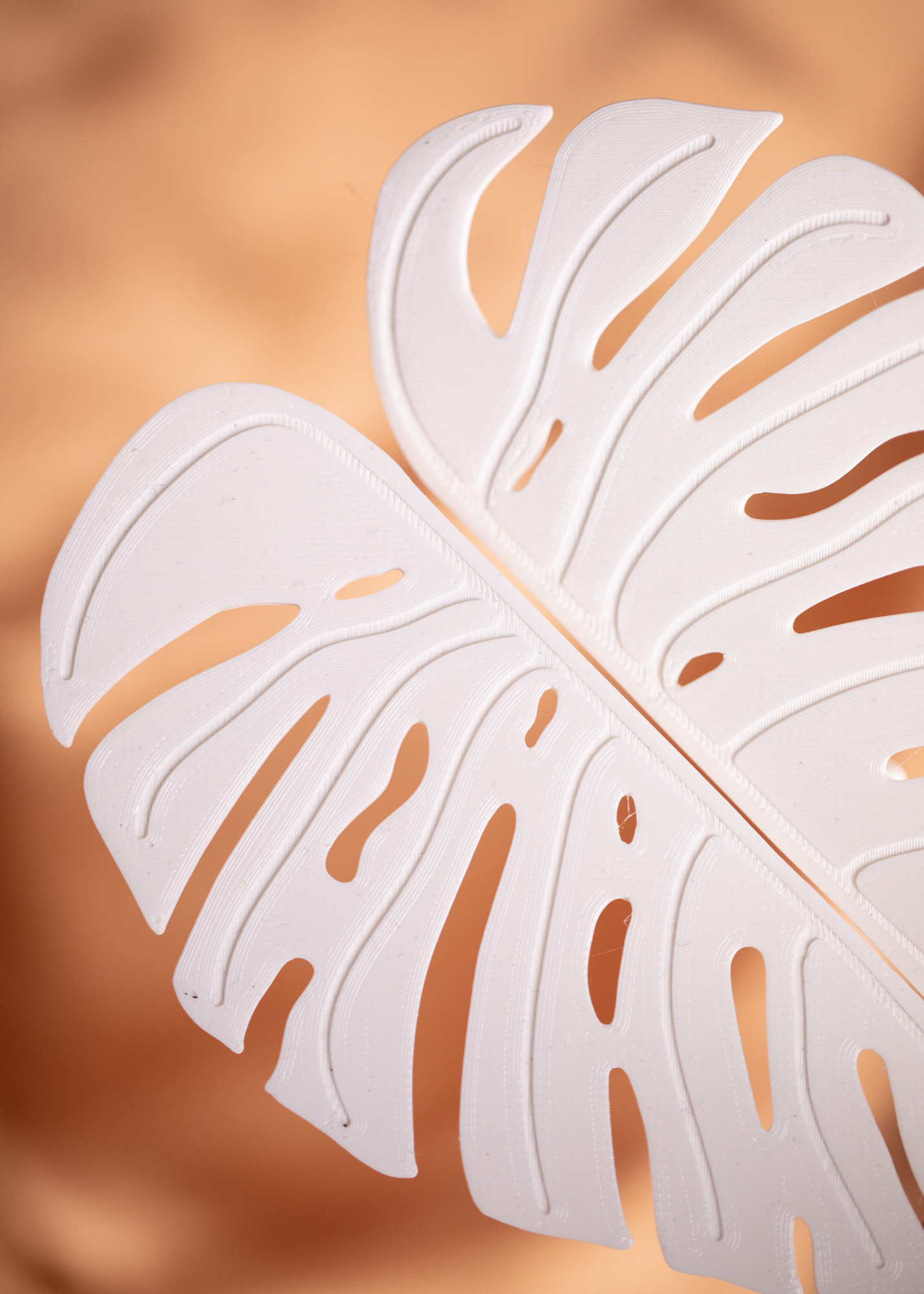 PREORDER Monstera Türgriff Milsbo PREORDER Monstera Türgriff Milsbo
