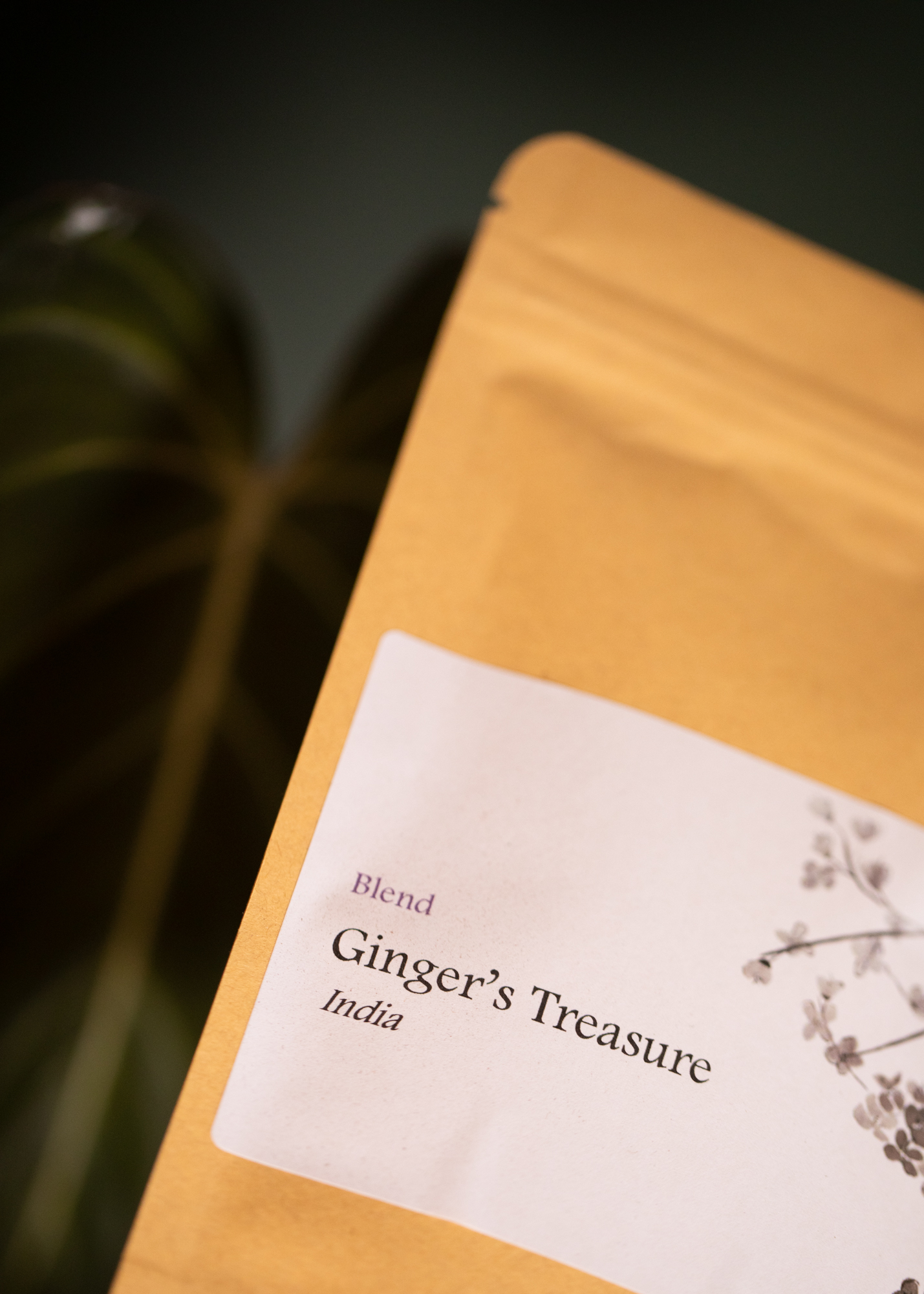 Ginger's Treasure
