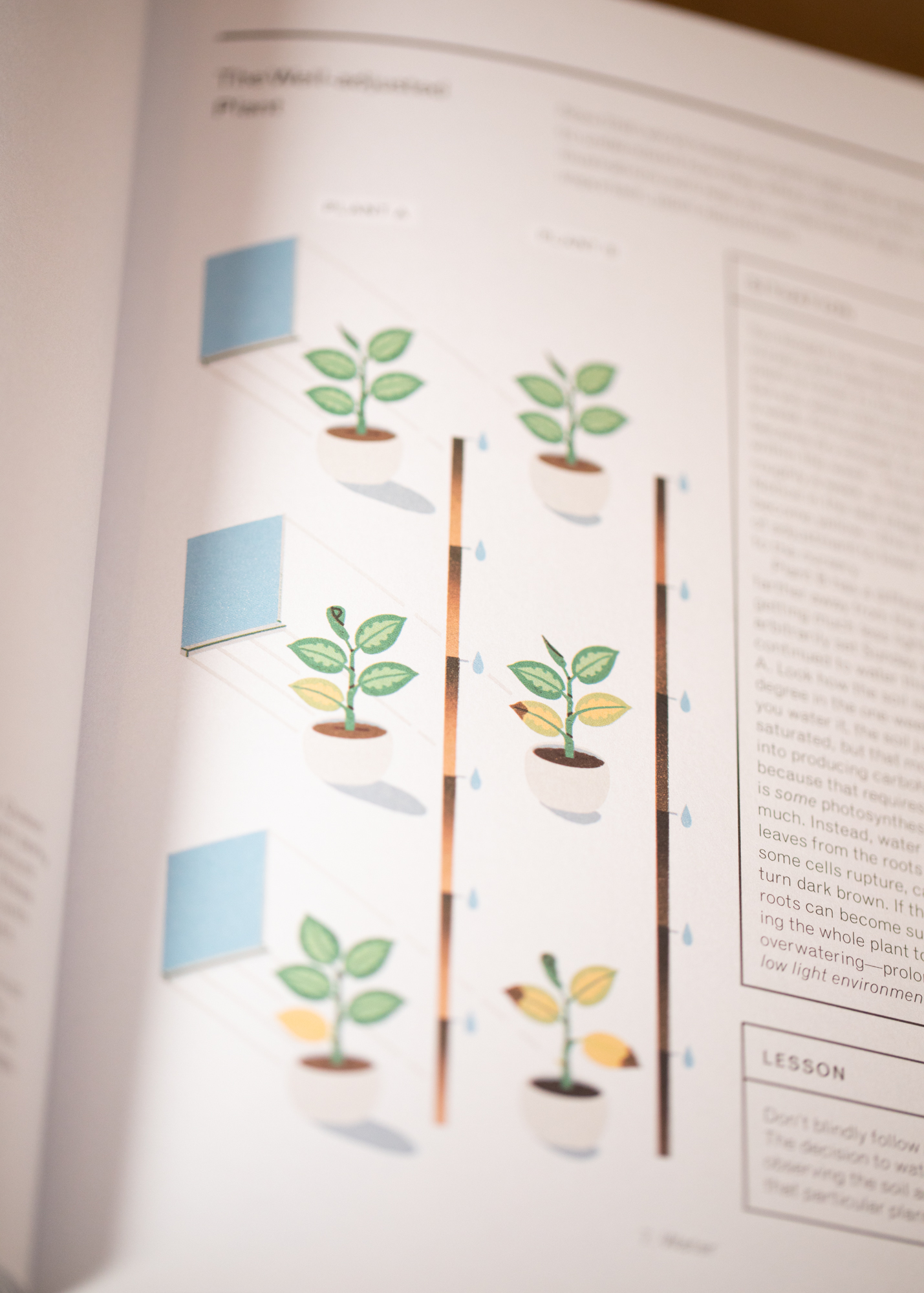The New Plant Parent Set The New Plant Parent Set