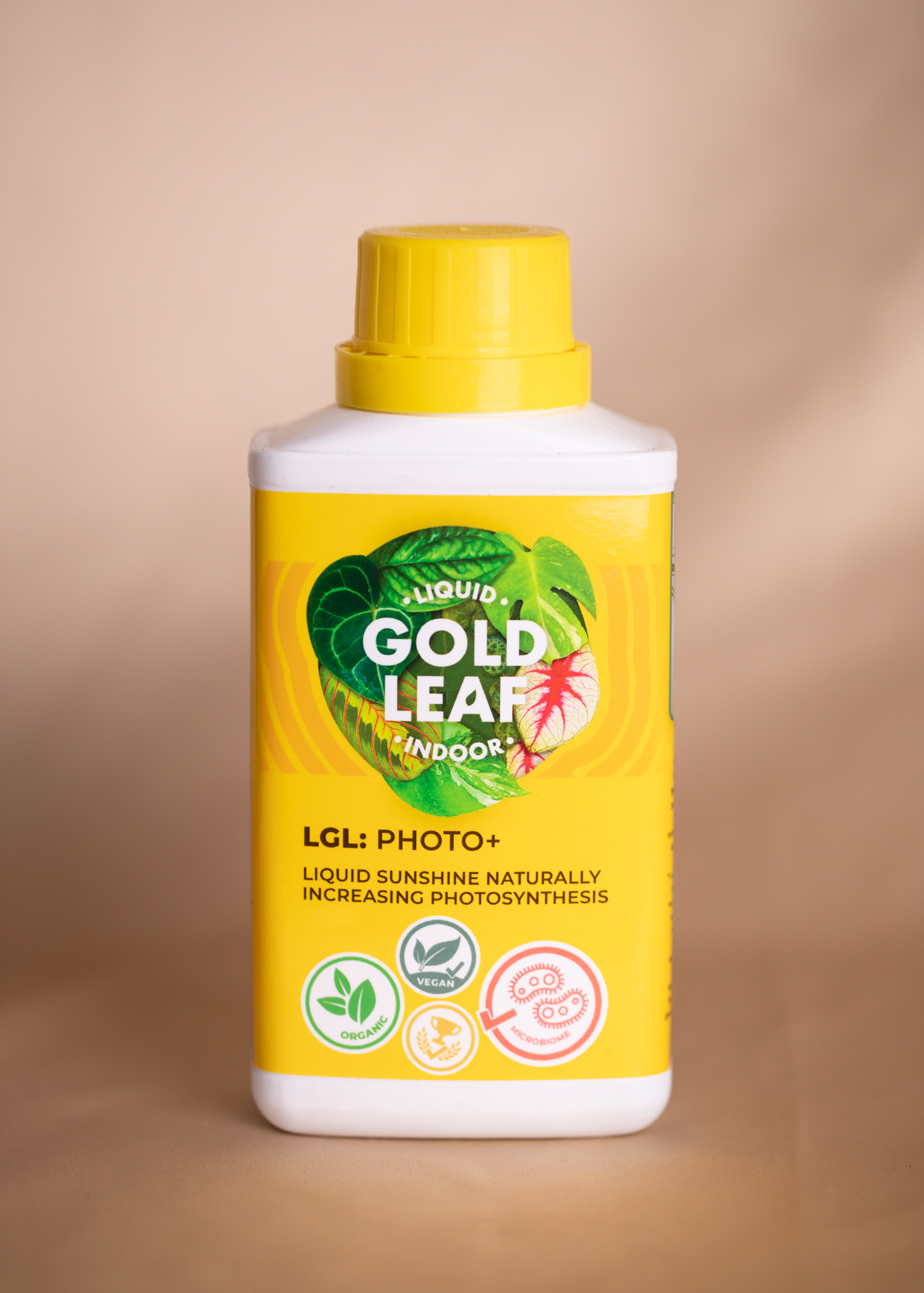 Liquid Gold Leaf Photo+