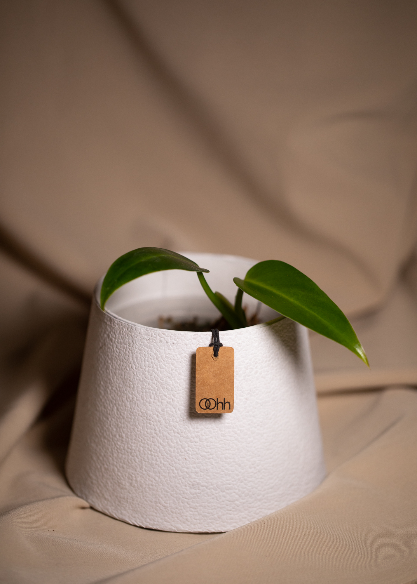 Tuscany Conical, white