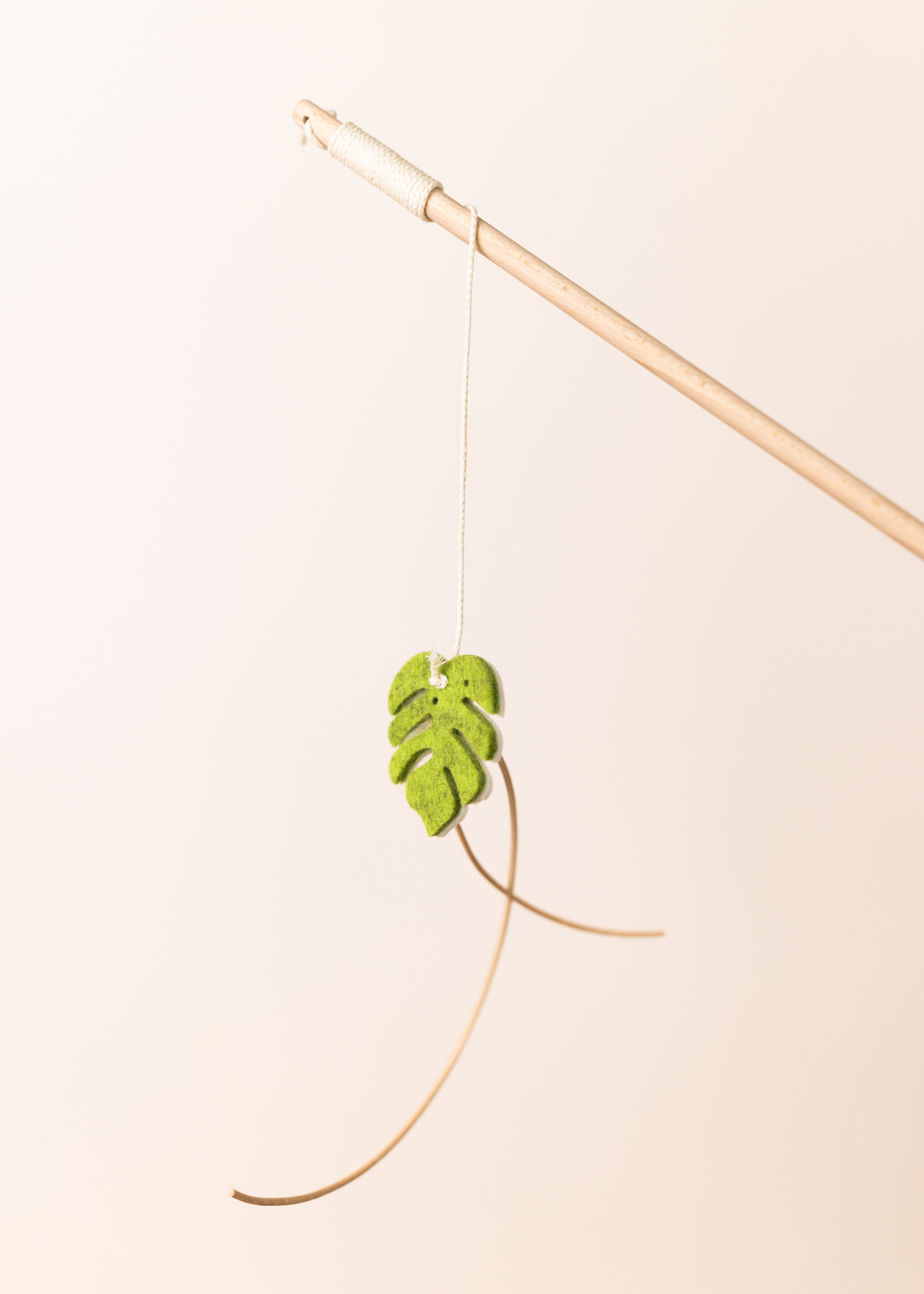 Spielangel monstera dance purrmania