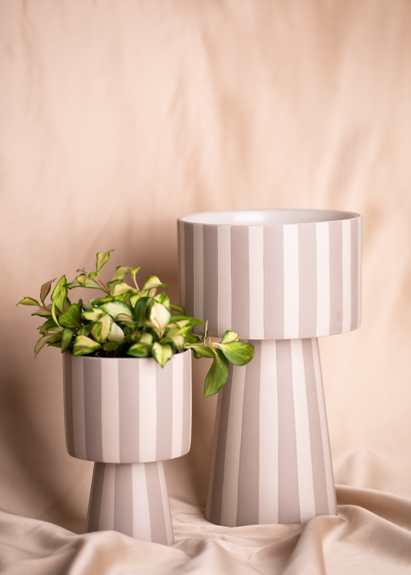 Toppu pot beige