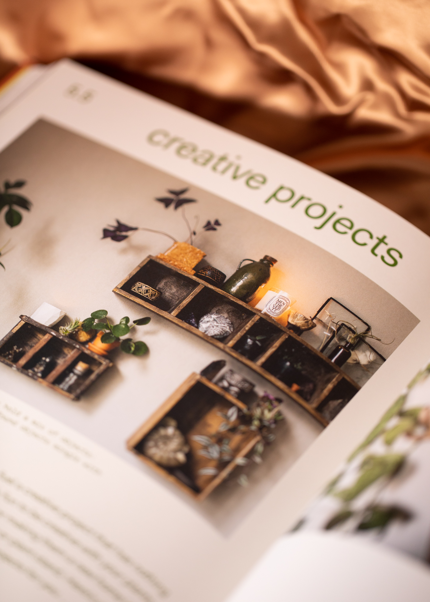 Plant Tribe Set Plant Tribe Set