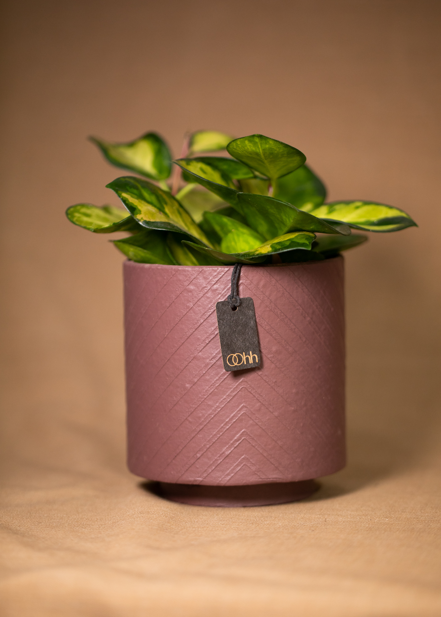 Louisiana pot, maroon Louisiana pot, maroon