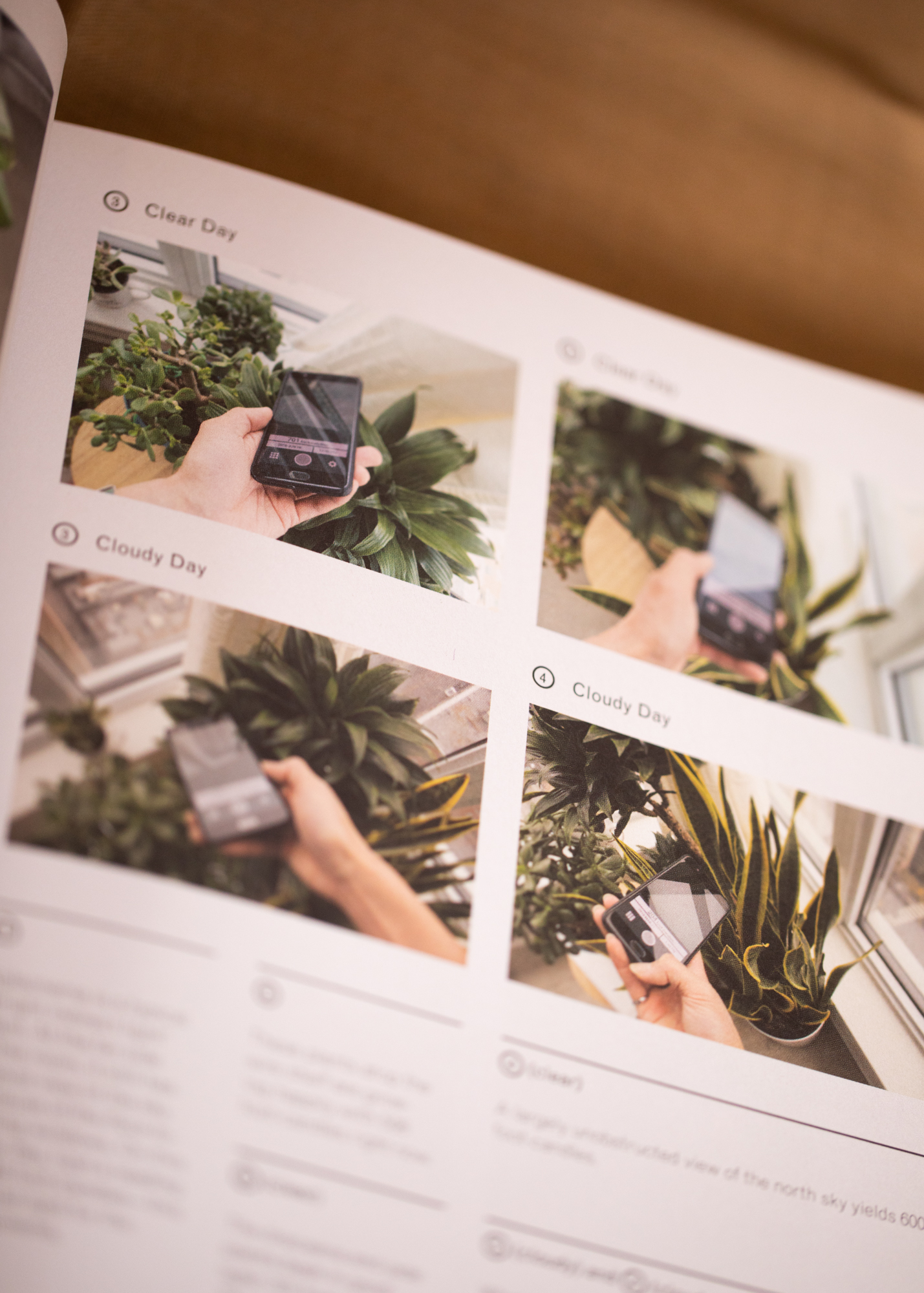 The New Plant Parent Set The New Plant Parent Set