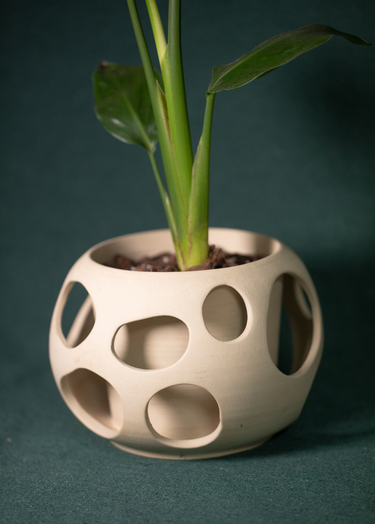 Cutouts planter Cutouts planter